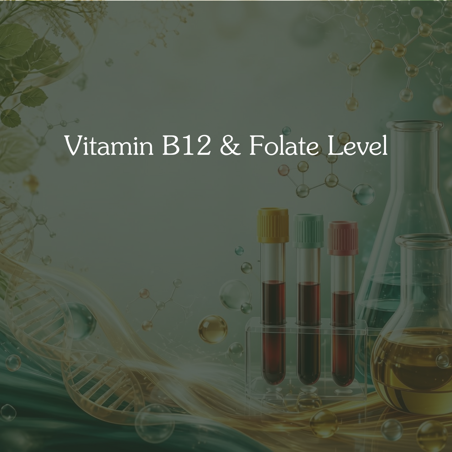 Vitamin B12 & Folate Level