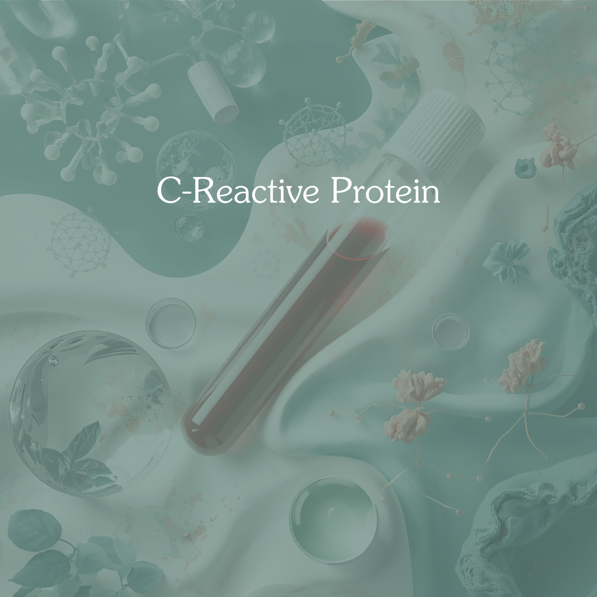 C-Reactive Protein, High Sensitivity