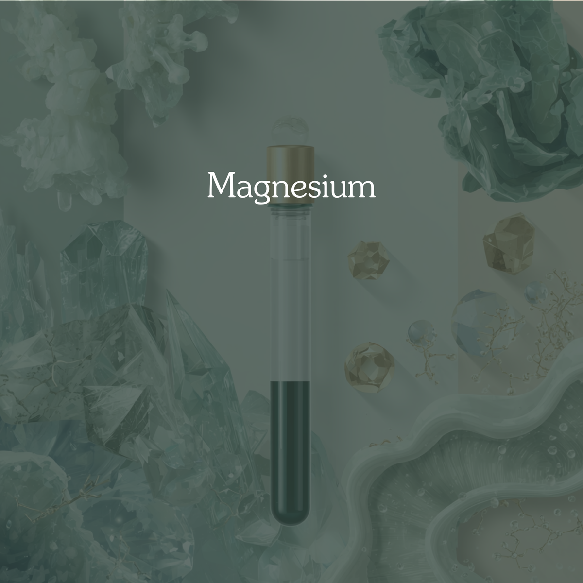 Magnesium