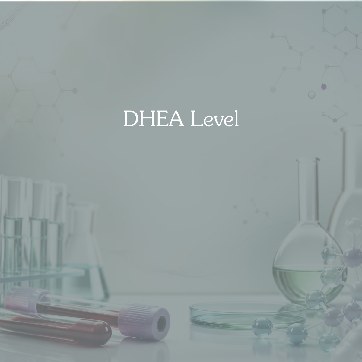 DHEA Level