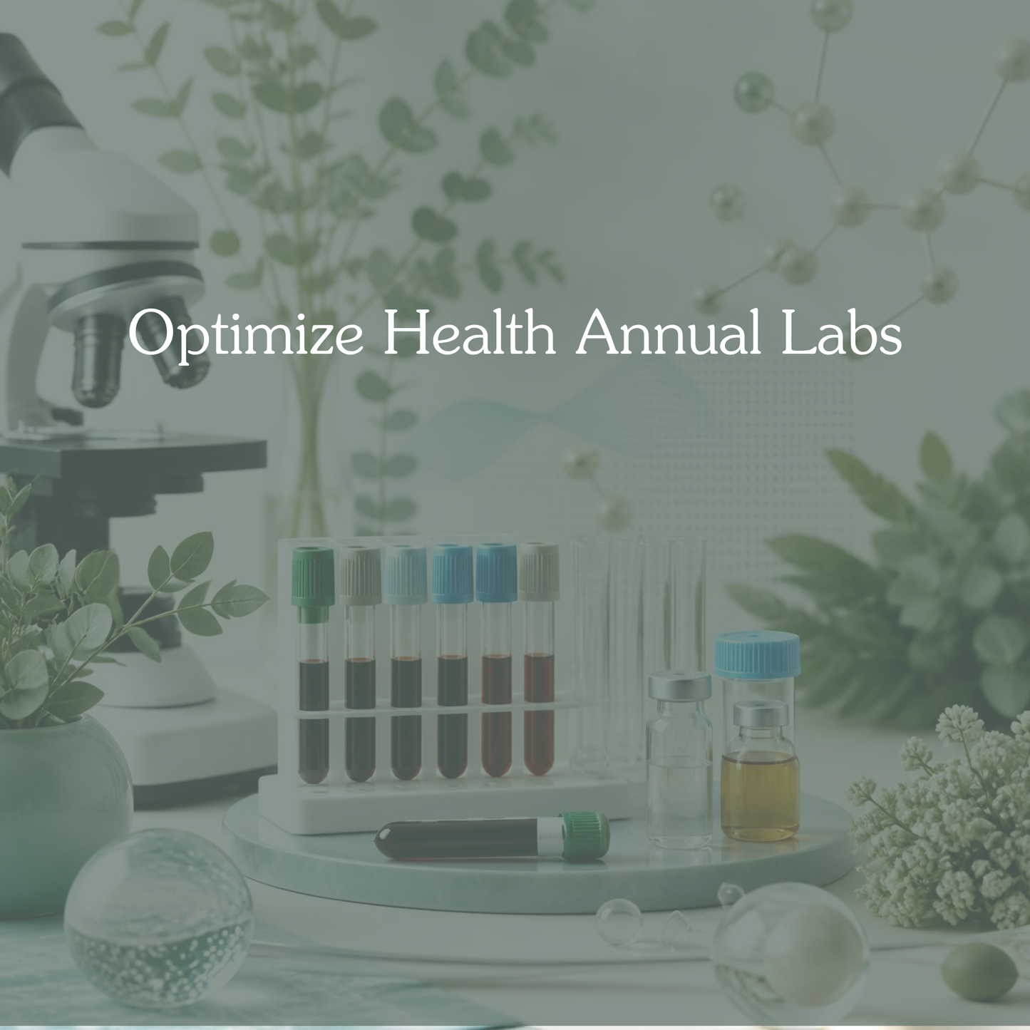 Optimize Health Annual Labs