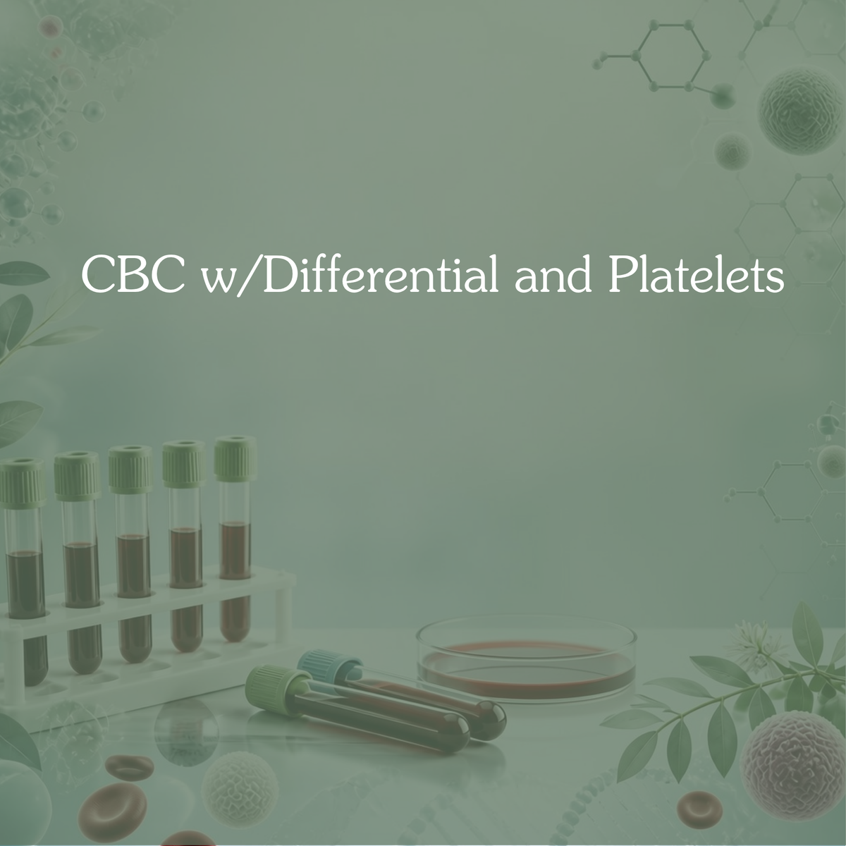Complete Blood Count with Differential and Platelets