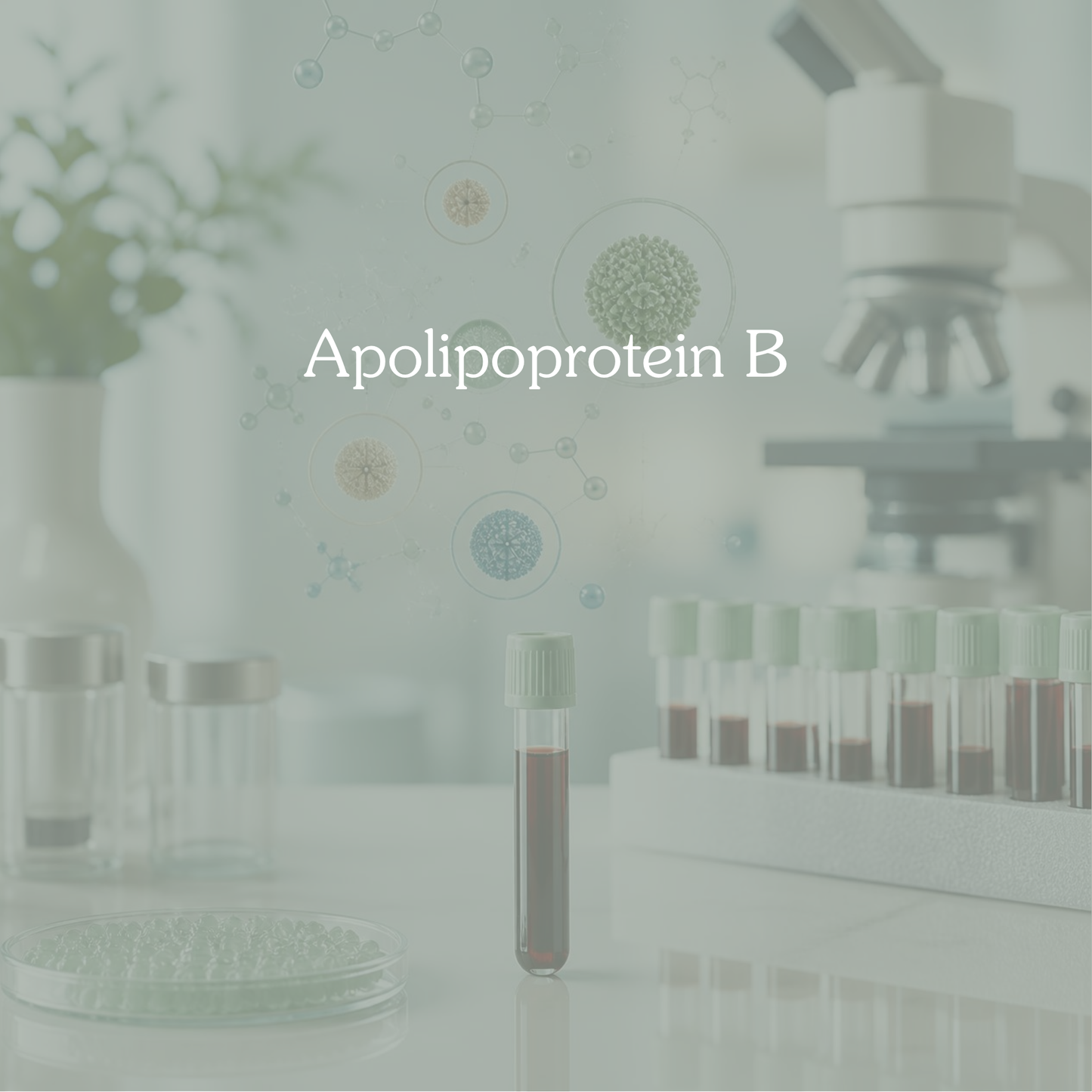 Apolipoprotein B