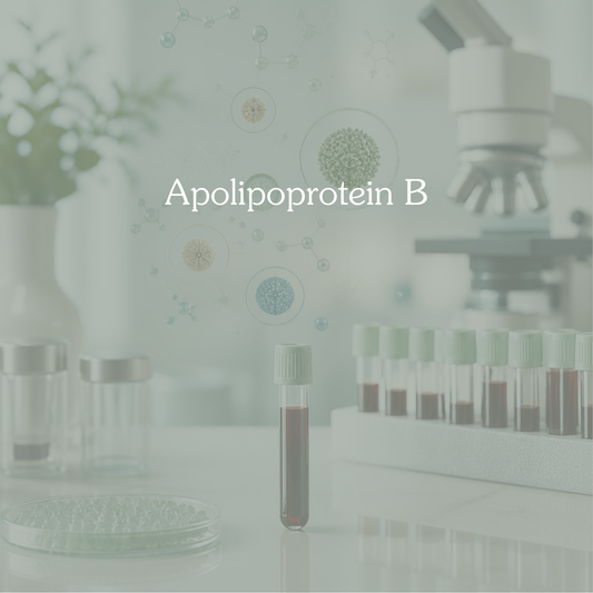 Apolipoprotein B