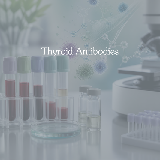 Thyroid antibodies