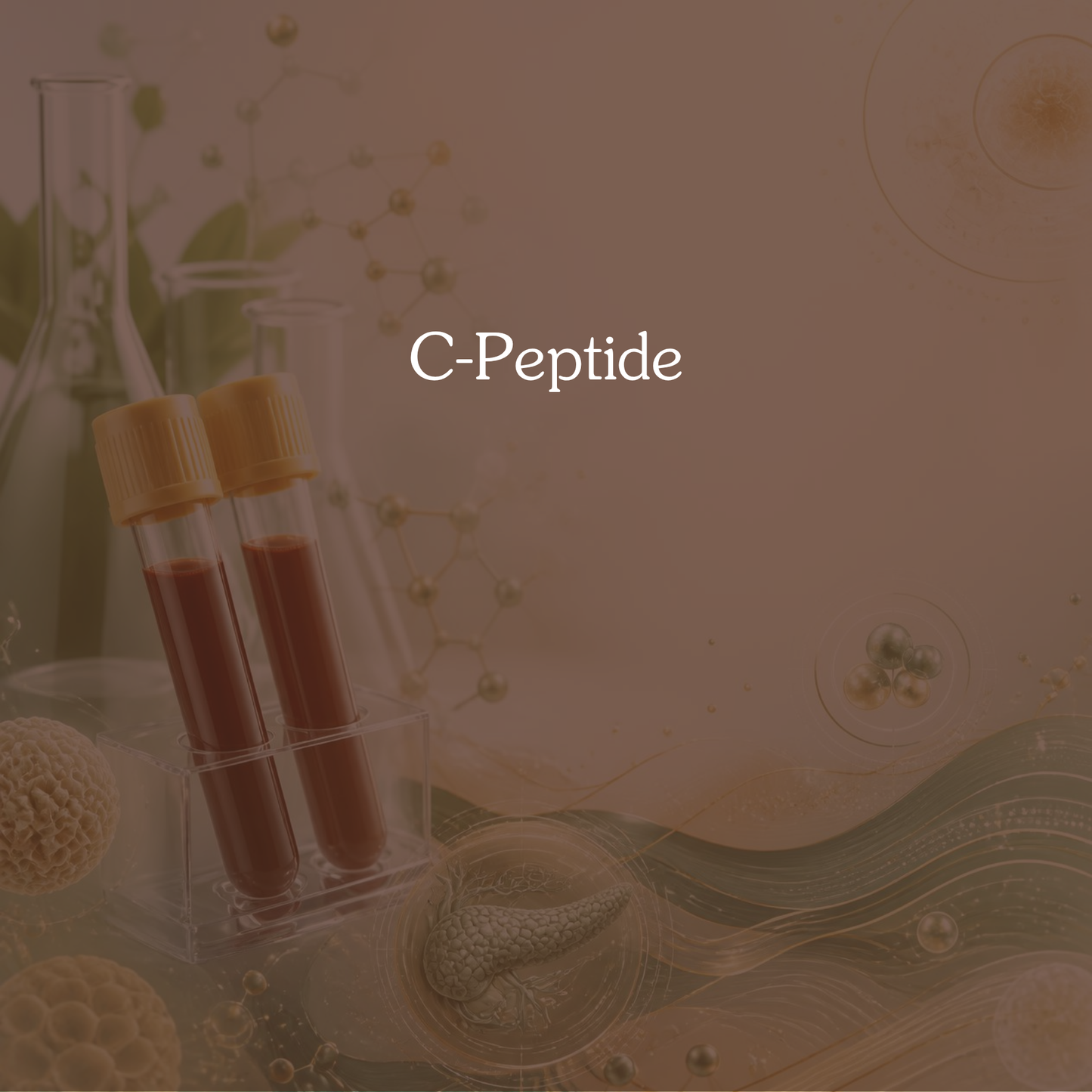 C-Peptide