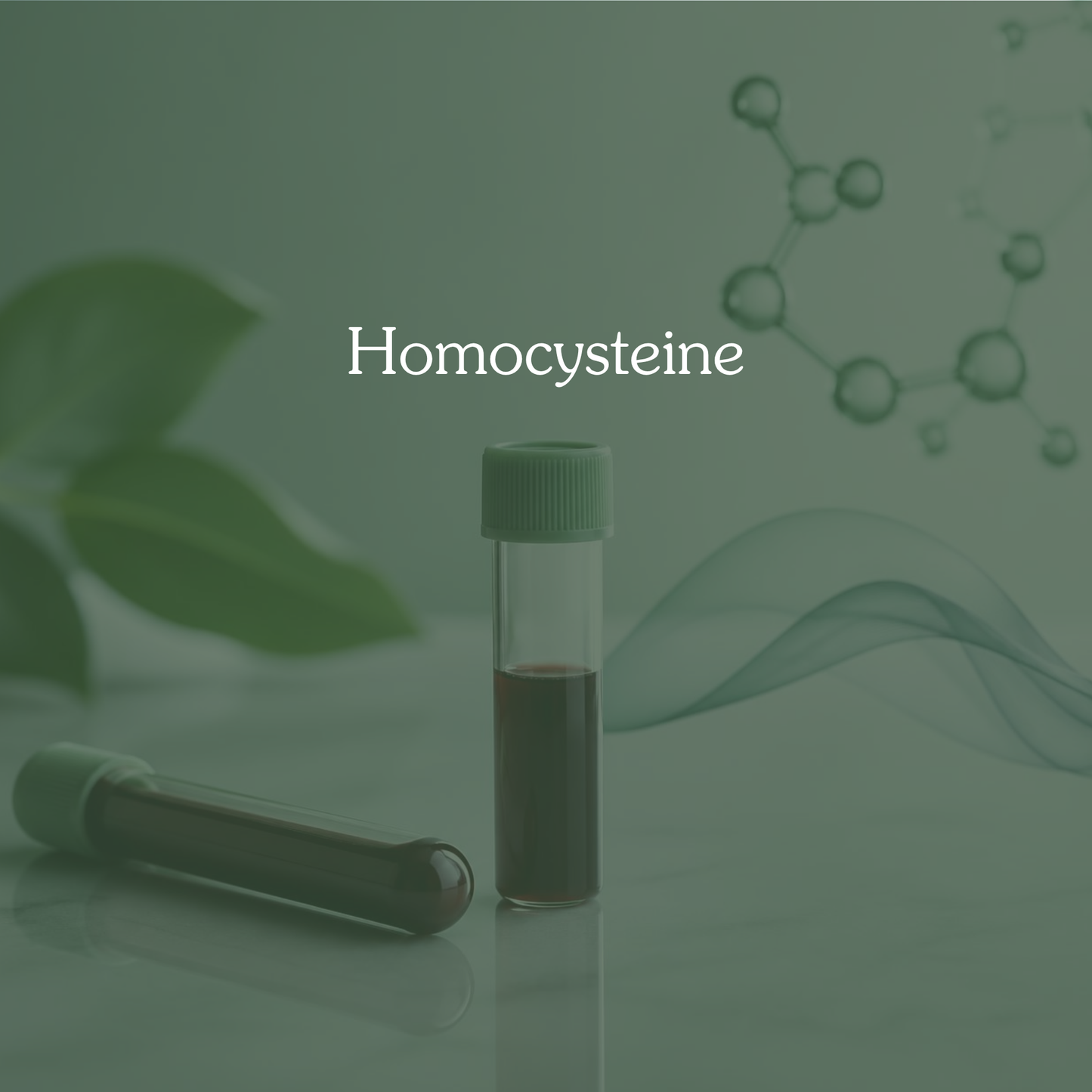 Homocysteine