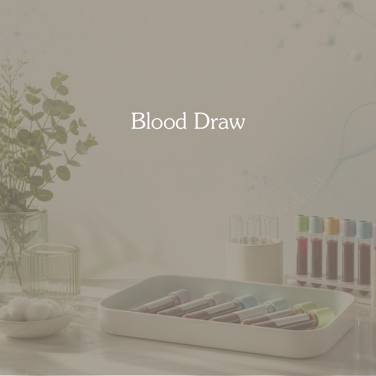 Blood Draw